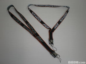 一站式創(chuàng)意解決方案 免費(fèi)專業(yè)設(shè)計(jì)，賦能您的品牌宣傳與禮品服務(wù)